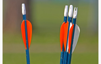 Concours Interne au club